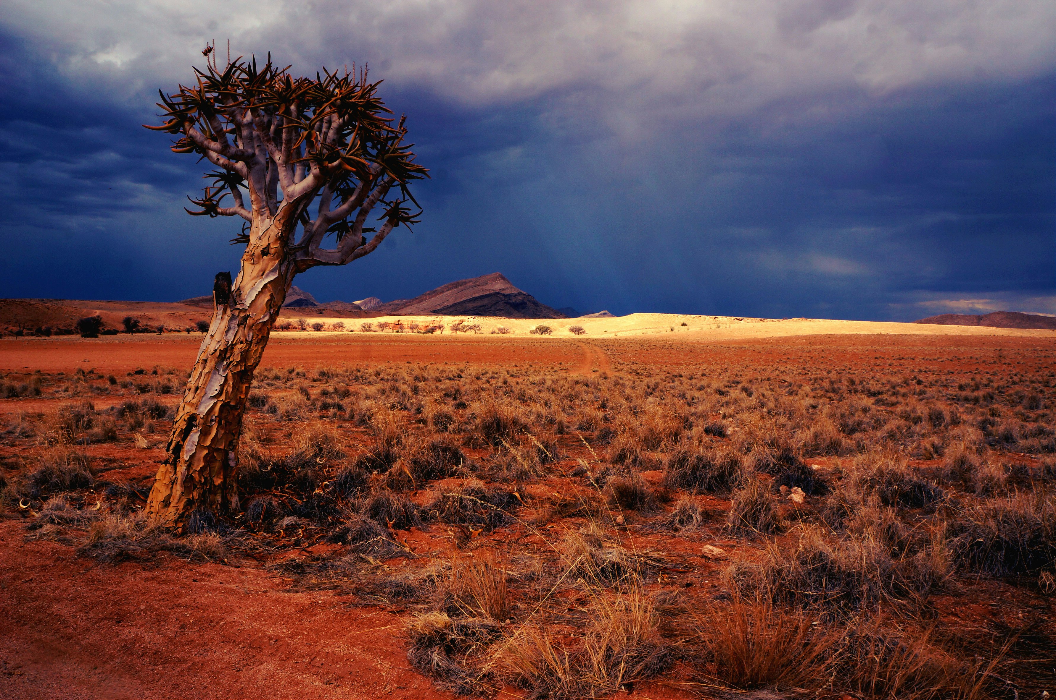 landscape photography of dessert